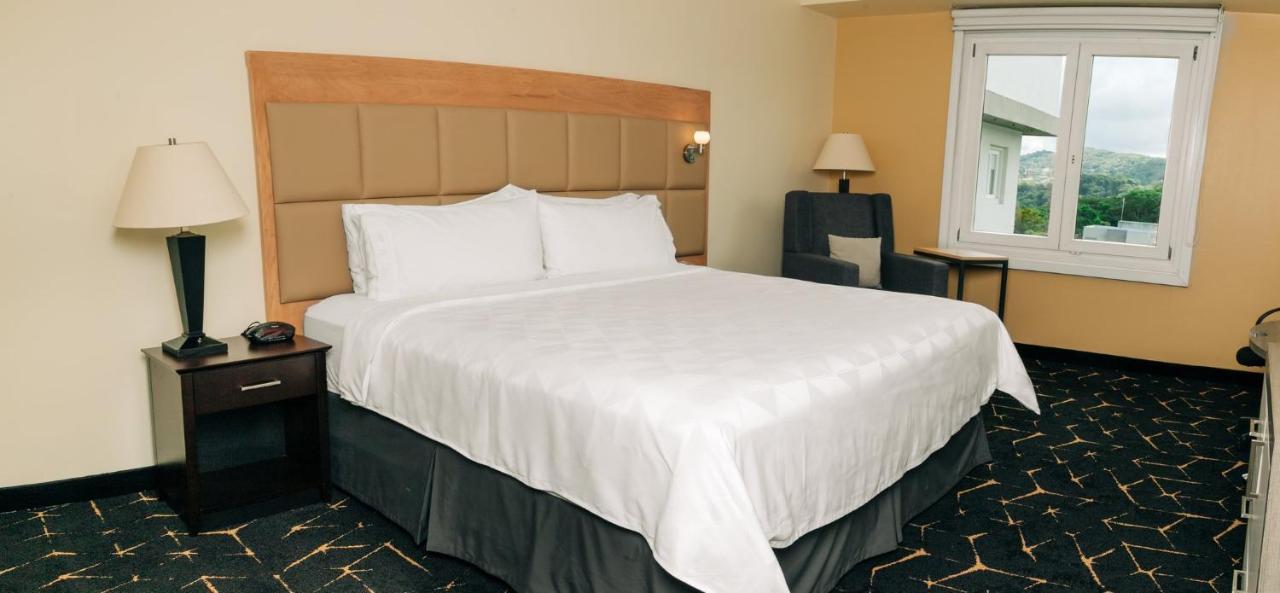 Holiday Inn San Salvador By Ihg Екстер'єр фото